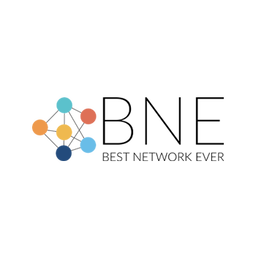 Logo di BNESIM